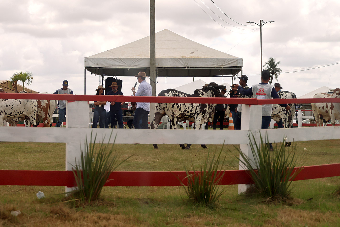 Foto: Reprodução/Prefeitura de Feira de Santana - BA